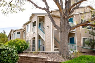 3847 Mossy Rock Drive 203, Highlands Ranch, CO 80126