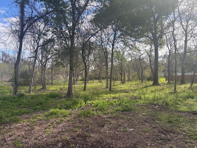 0 Lost Lake Drive, Mont Belvieu, TX 77523