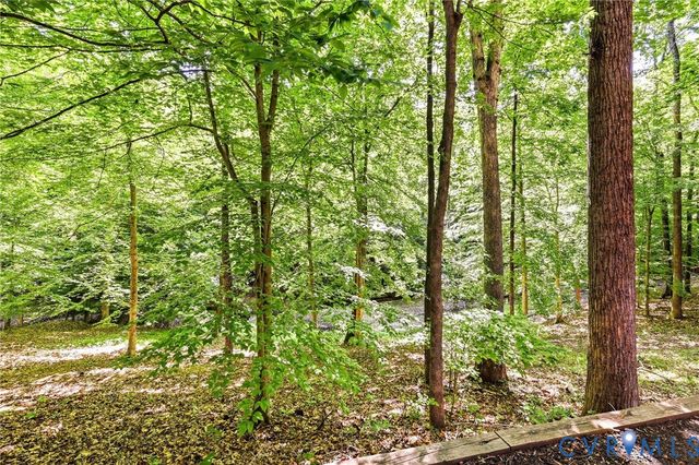 3201 E Brigstock Rd, Chesterfield, VA 23113