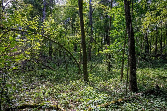 W5878 Wilson Lane, Necedah, WI 54646