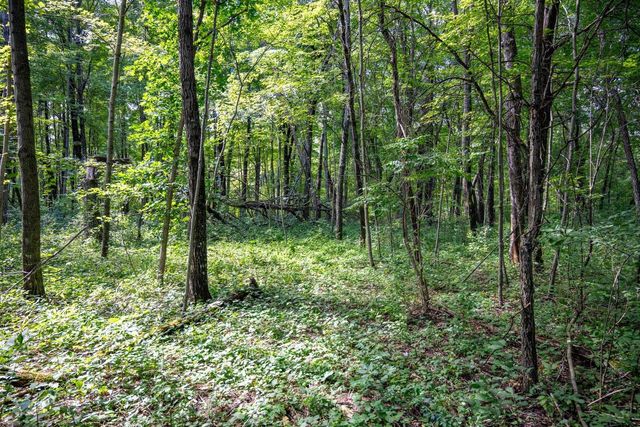 W5878 Wilson Lane, Necedah, WI 54646