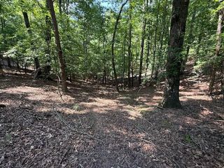 2115 Palisade Drive, Ellijay, GA 30540