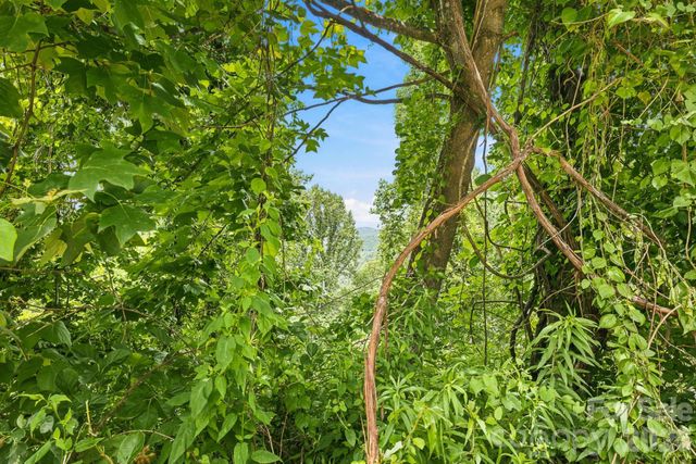 999 Perrion Avenue 18, Weaverville, NC 28787