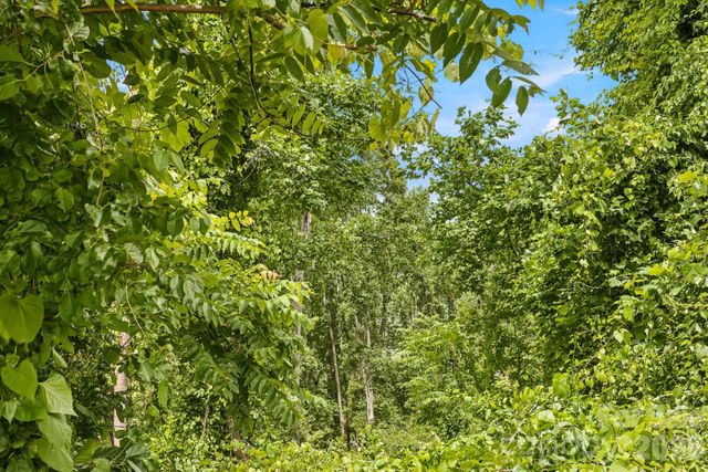 999 Perrion Avenue 18, Weaverville, NC 28787