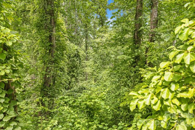 999 Perrion Avenue 18, Weaverville, NC 28787
