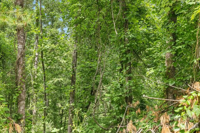 999 Perrion Avenue 18, Weaverville, NC 28787