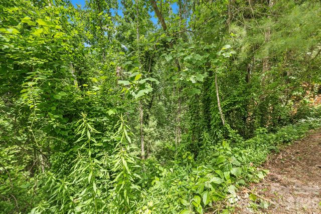 999 Perrion Avenue 18, Weaverville, NC 28787