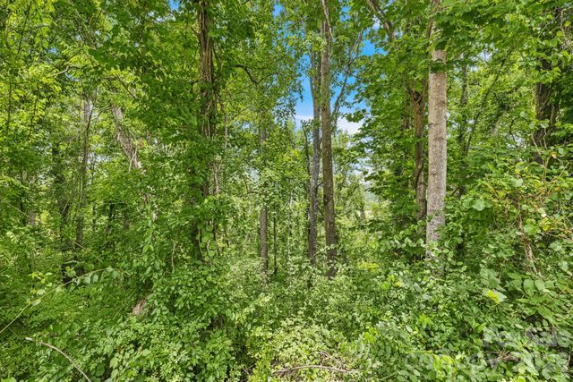 999 Perrion Avenue 18, Weaverville, NC 28787