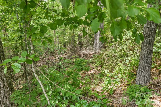 999 Perrion Avenue 18, Weaverville, NC 28787