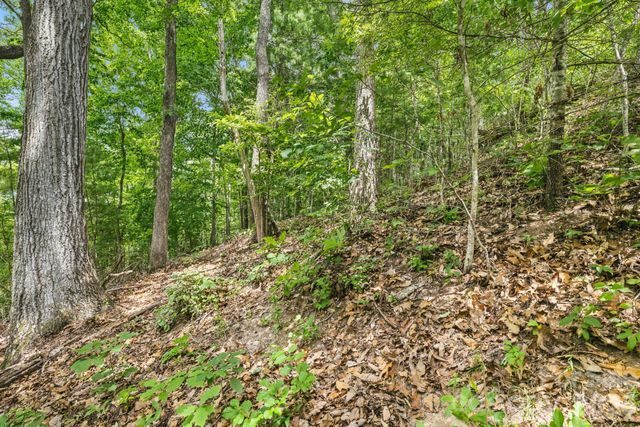 999 Perrion Avenue 18, Weaverville, NC 28787