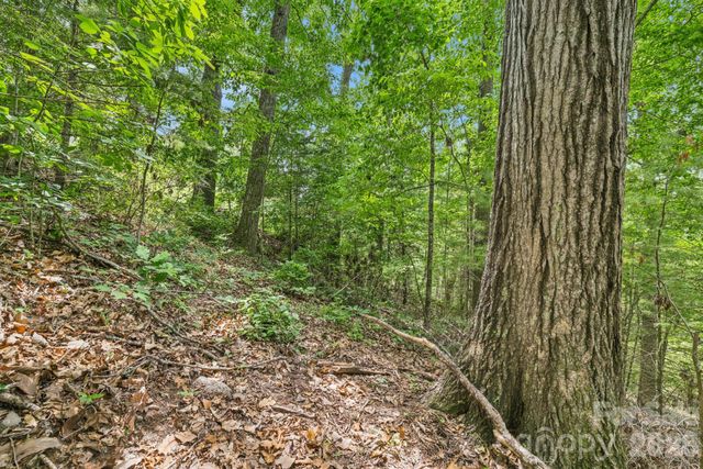 999 Perrion Avenue 18, Weaverville, NC 28787