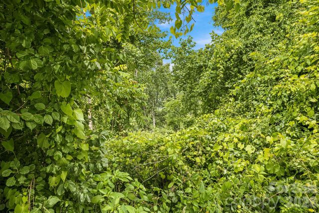 999 Perrion Avenue 18, Weaverville, NC 28787