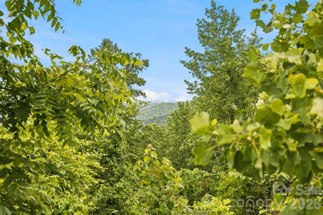 999 Perrion Avenue 18, Weaverville, NC 28787