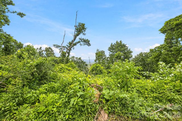 999 Perrion Avenue 18, Weaverville, NC 28787