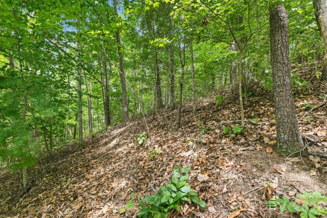 999 Perrion Avenue 18, Weaverville, NC 28787