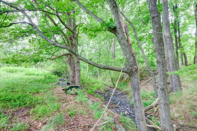 113 Quiet Path, Summit, NY 12175