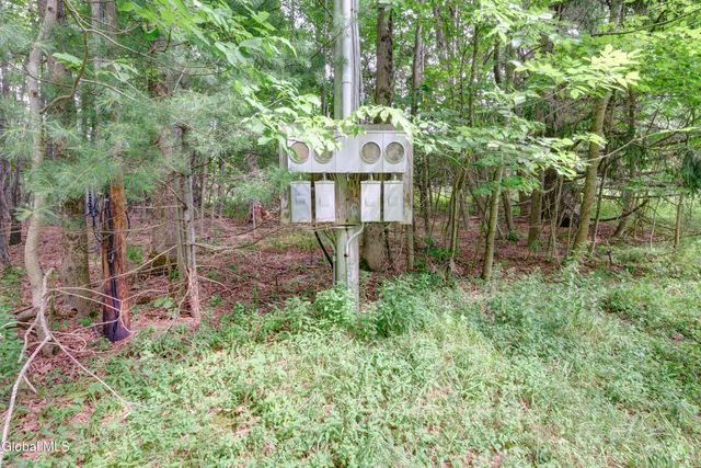 113 Quiet Path, Summit, NY 12175