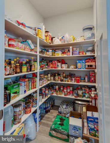 1006 MAIDEN GRASS DR, La Plata, MD 20646