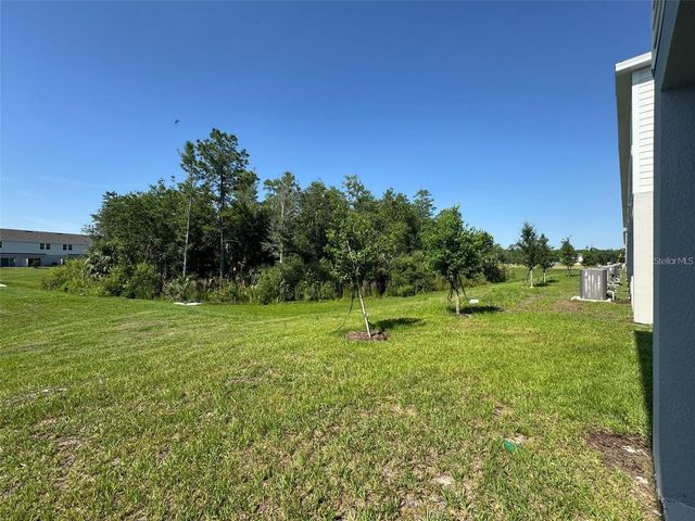 3133 SKYLINE LOOP, Kissimmee, FL 34758