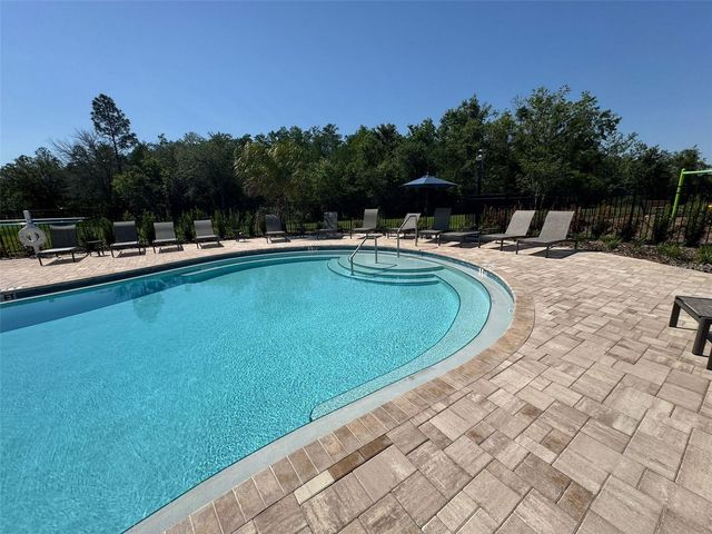 3133 SKYLINE LOOP, Kissimmee, FL 34758