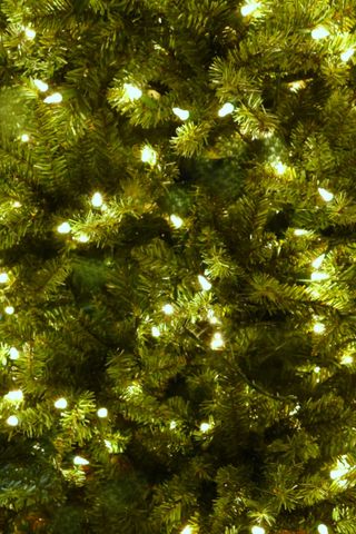 266 Poverty Ln Unit 1A, Lebanon, NH 03766