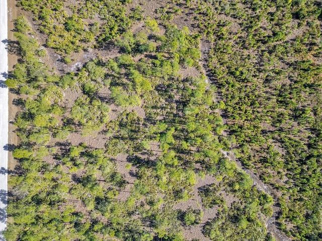 MEADOWLARK BOULEVARD, Lake Wales, FL 33898