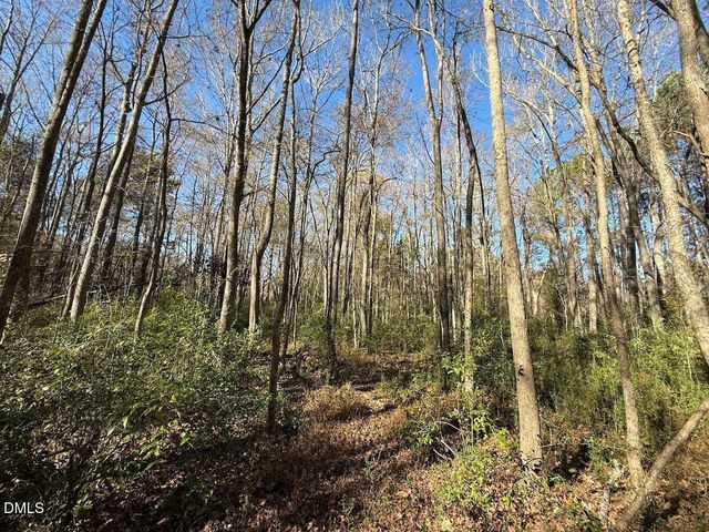 0 Nc Hwy 902, Pittsboro, NC 27312