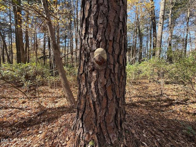 0 Nc Hwy 902, Pittsboro, NC 27312