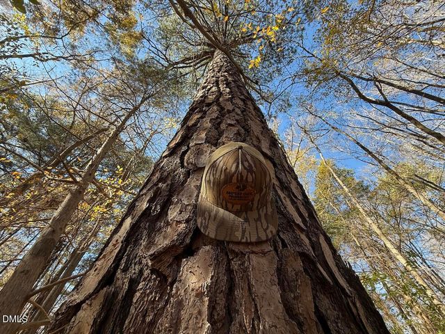 0 Nc Hwy 902, Pittsboro, NC 27312