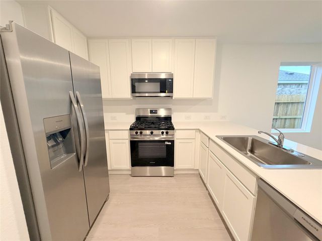 28810 Golden Wheat Court, Hockley, TX 77447