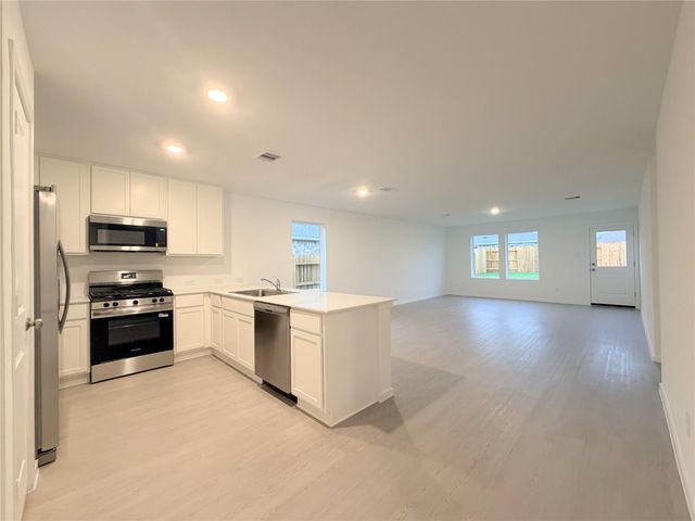 28810 Golden Wheat Court, Hockley, TX 77447