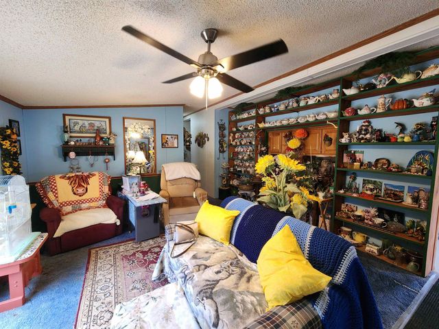 12335 Clareola Avenue, Marion, MI 49665
