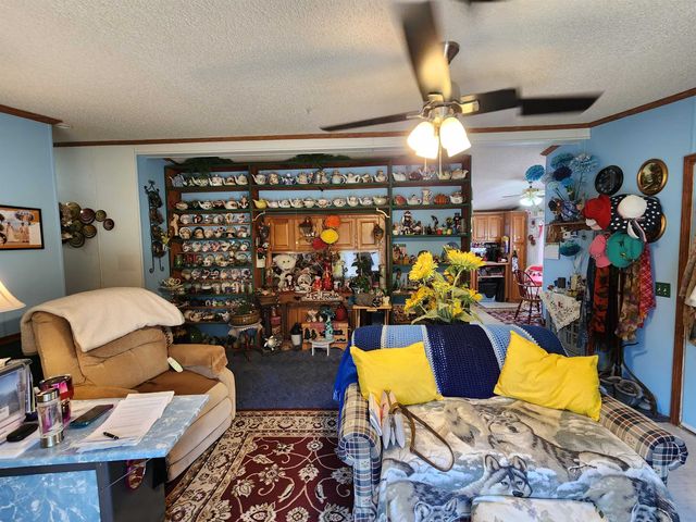 12335 Clareola Avenue, Marion, MI 49665