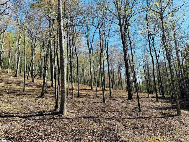 2 Buck Creek Trail, Travelers Rest, SC 29690