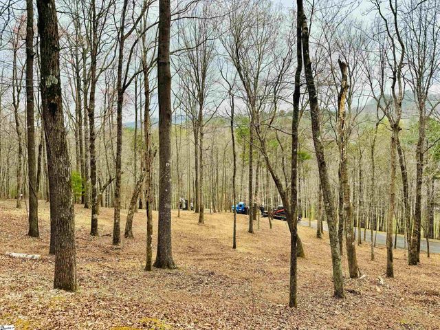 2 Buck Creek Trail, Travelers Rest, SC 29690