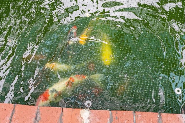 19320 Totem Court, Riverside, CA 92508