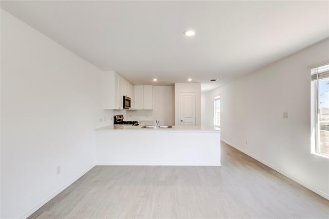 177 Pink Footed PASS, Uhland, TX 78640