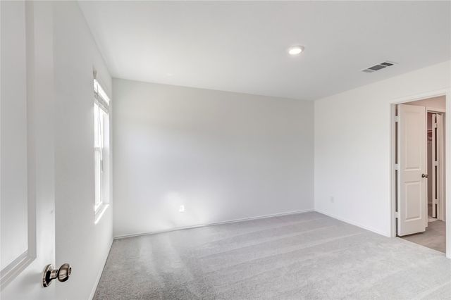 177 Pink Footed PASS, Uhland, TX 78640