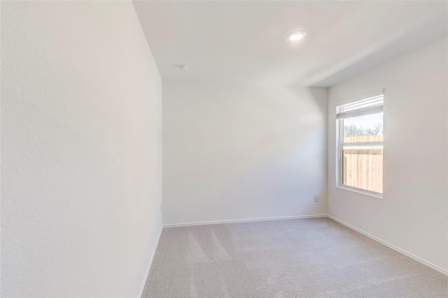 177 Pink Footed PASS, Uhland, TX 78640