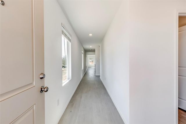 177 Pink Footed PASS, Uhland, TX 78640