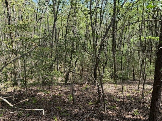 Lot 5 Marjorie Avenue, Ellijay, GA 30536