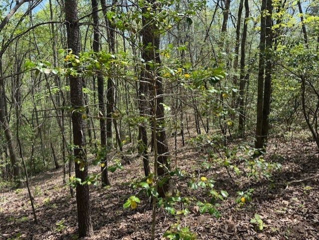 Lot 5 Marjorie Avenue, Ellijay, GA 30536