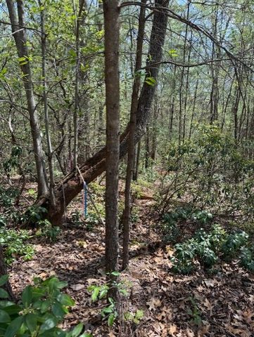 Lot 5 Marjorie Avenue, Ellijay, GA 30536