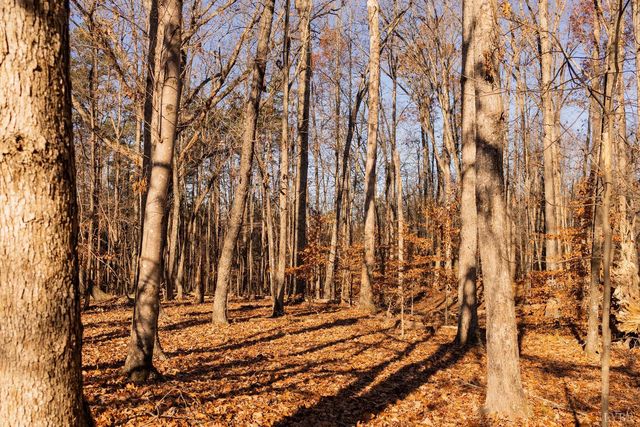 1200 Bradley Creek Road, Nathalie, VA 24577