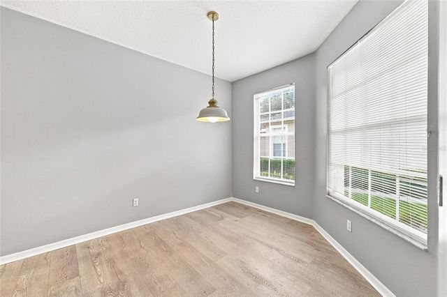 19126 WHITE WING PLACE, Tampa, FL 33647