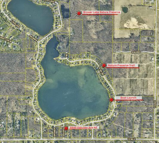 8445 Oakview Avenue Ne, Courtland Twp, MI 49341