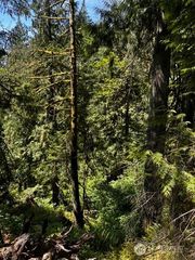 0 Hoff Circle, Everson, WA 98247