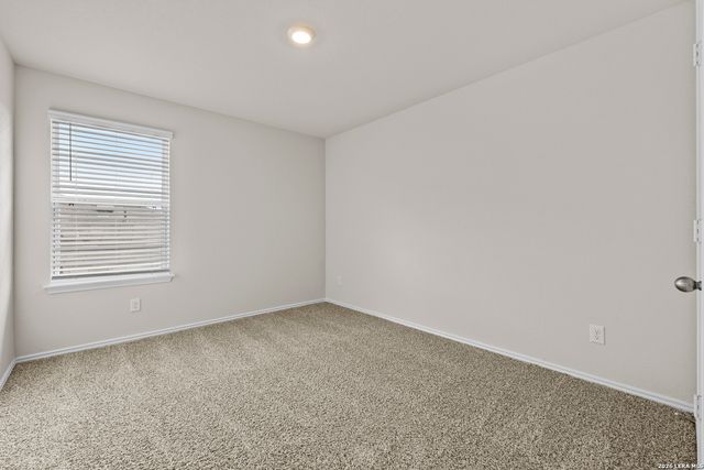 1521 Agave Cellar, New Braunfels, TX 78130