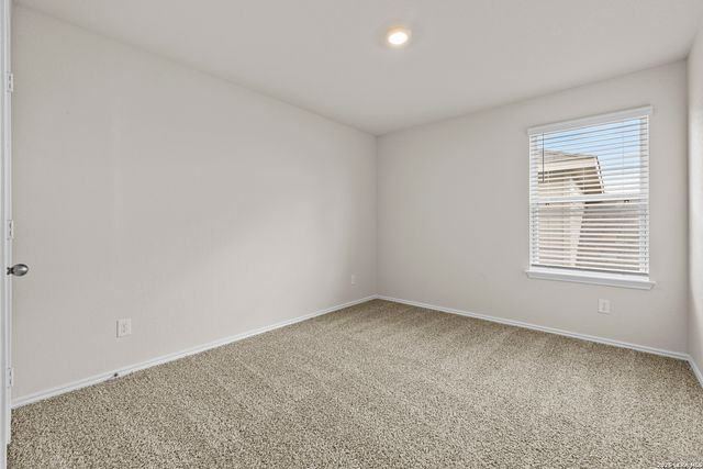 1521 Agave Cellar, New Braunfels, TX 78130