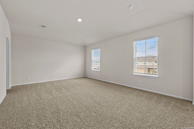 1521 Agave Cellar, New Braunfels, TX 78130